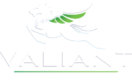 ValiantEnergy.com